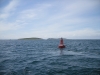 St Patricks Bridge Buoys